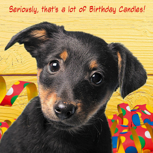 Puppy Birthday Anon Card