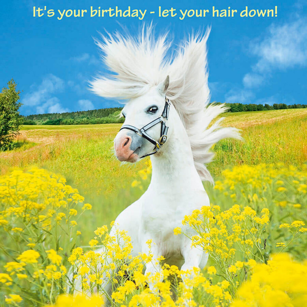 Horse Birthday Anon Card