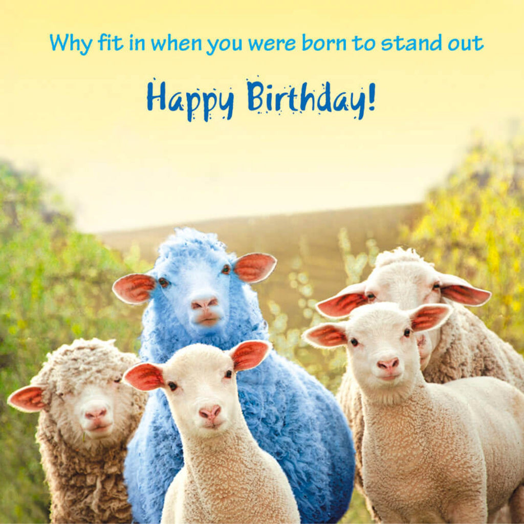 Sheep Birthday Anon Card