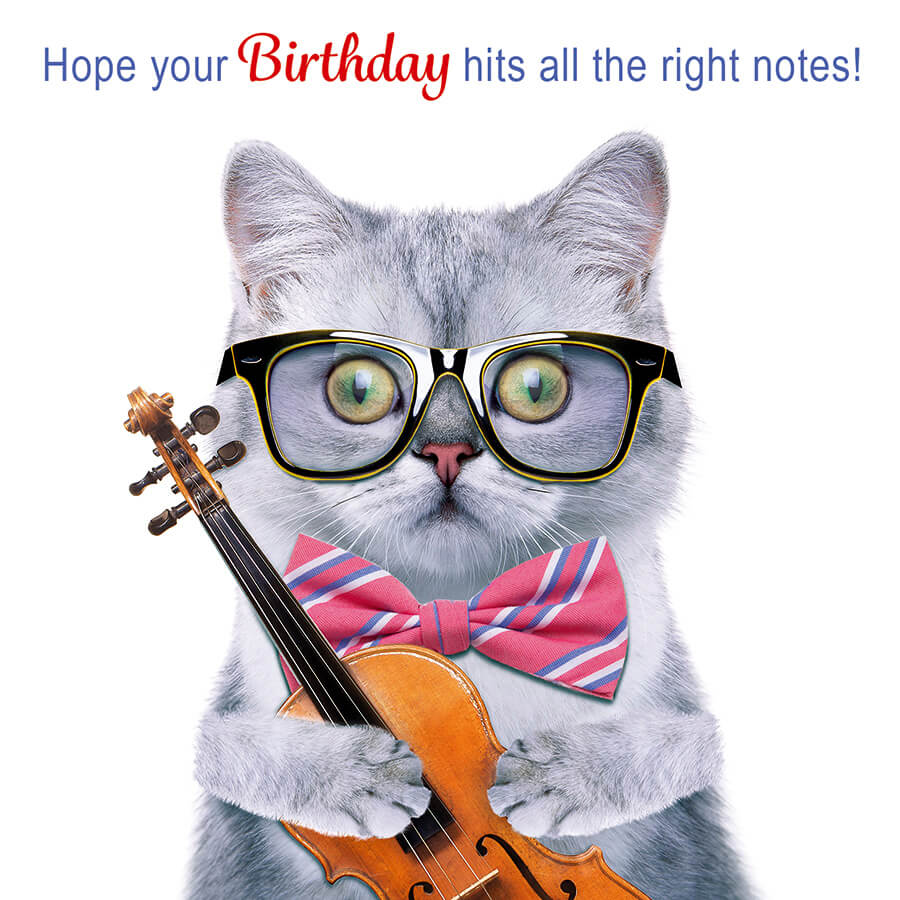 Hope your birthday hits all the right notes!
