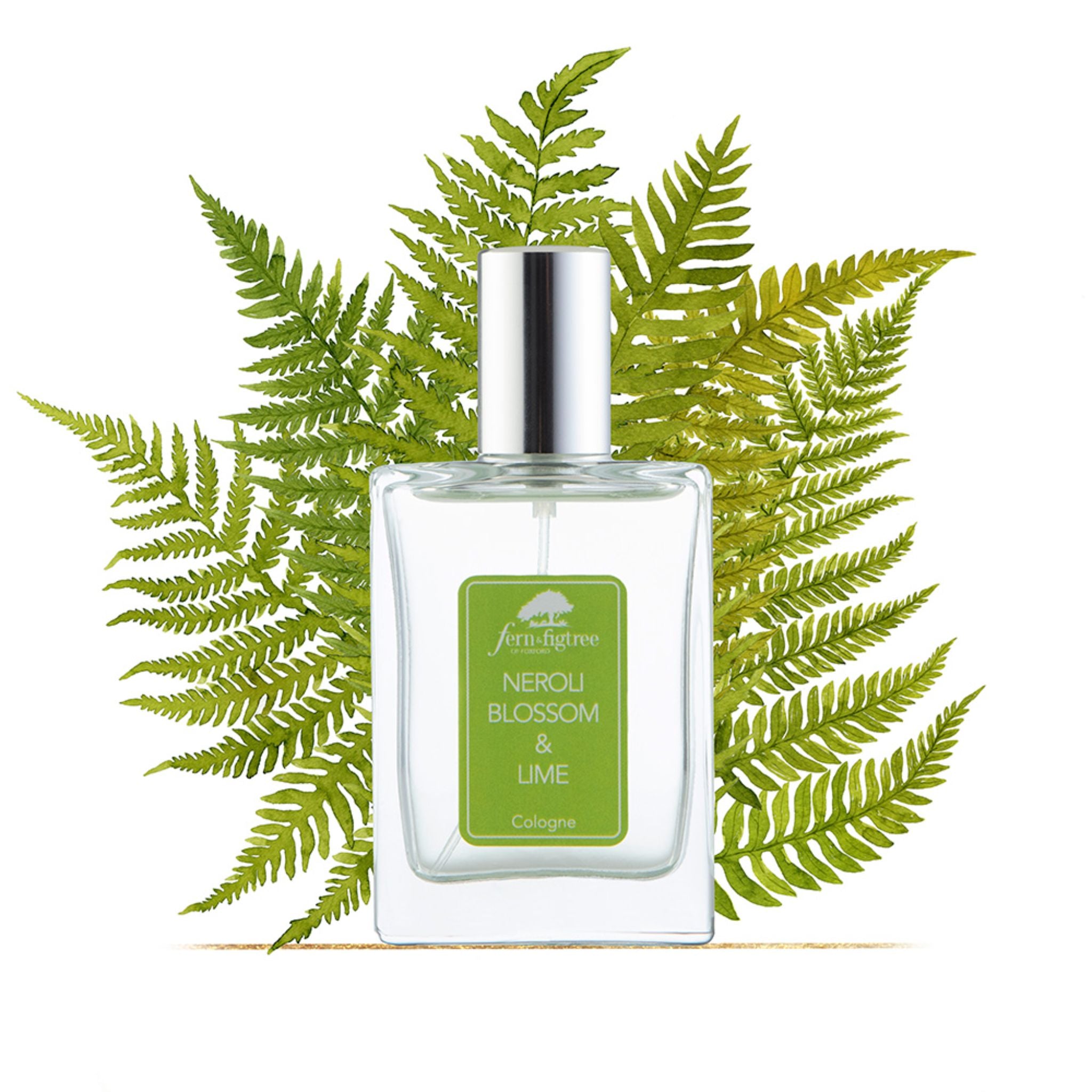 Lime cologne best sale