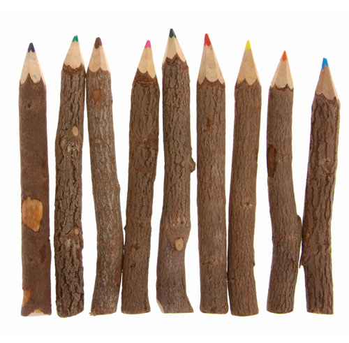 Twig colour pencils, pack of 10, 13cm