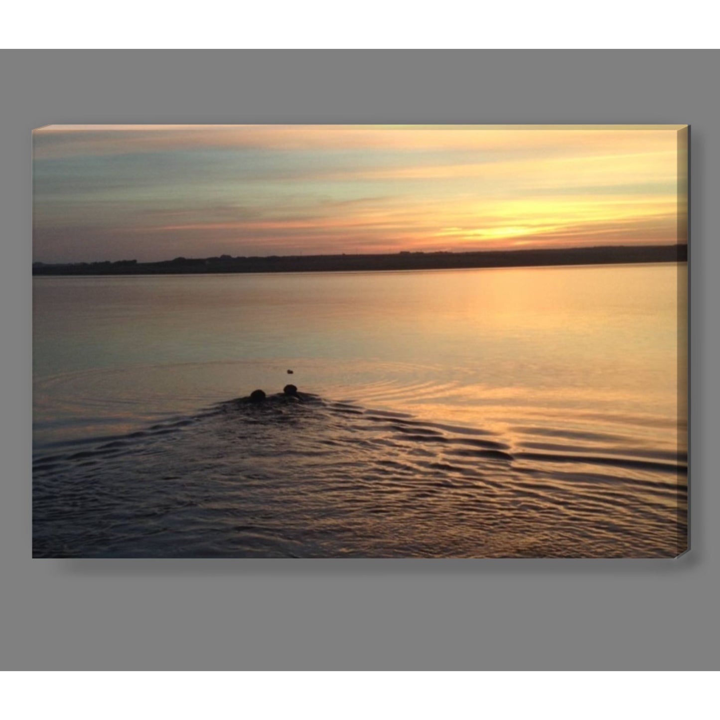 Wild Swimming Belmullet Canvas Print