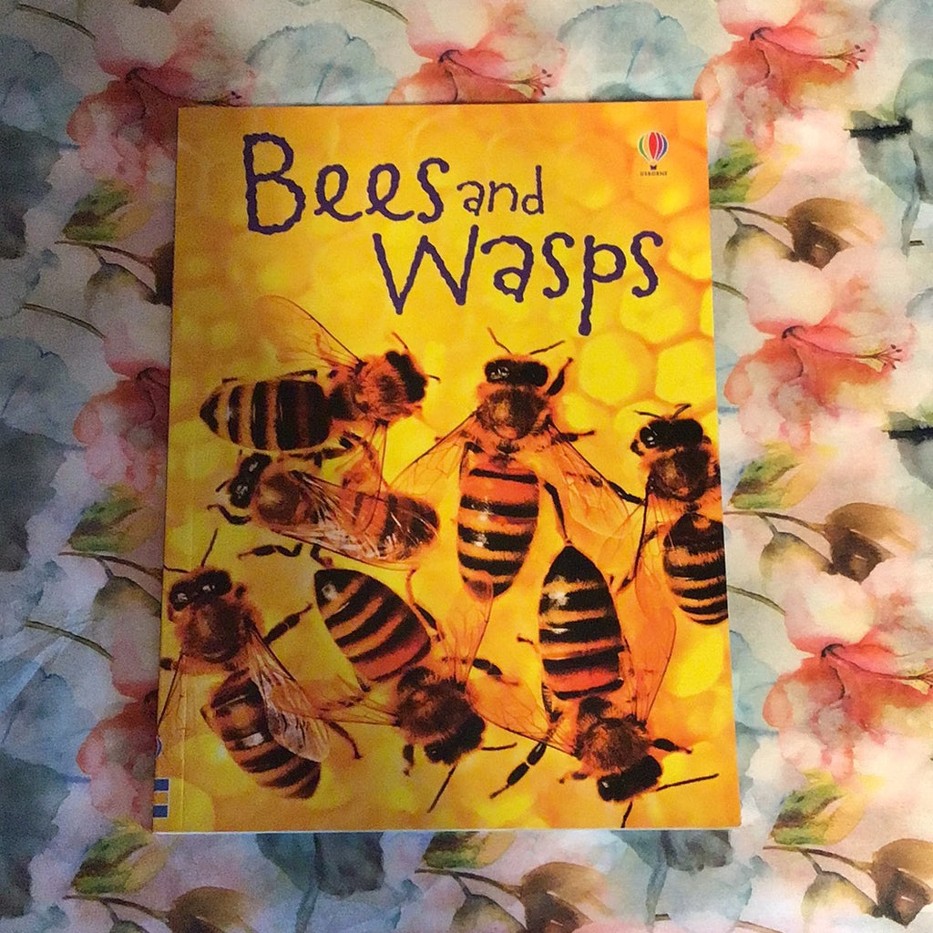 Usbourne: Bees and wasps