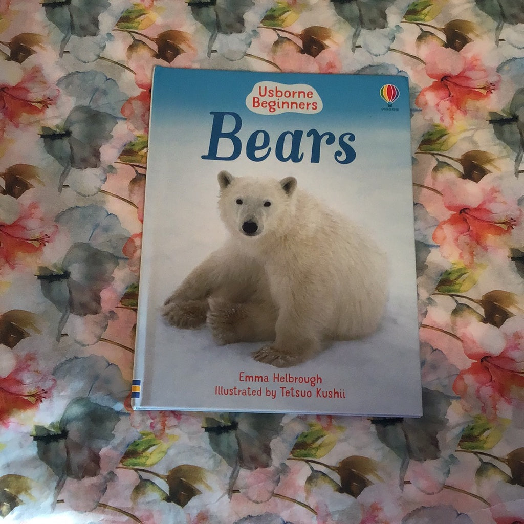 Usbourne Beginners: Bears